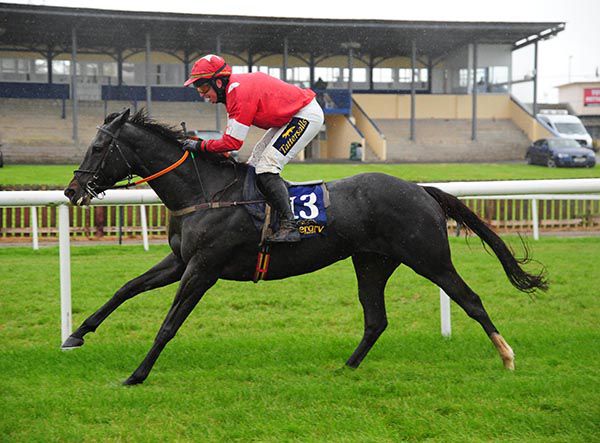 Party Central striding clear