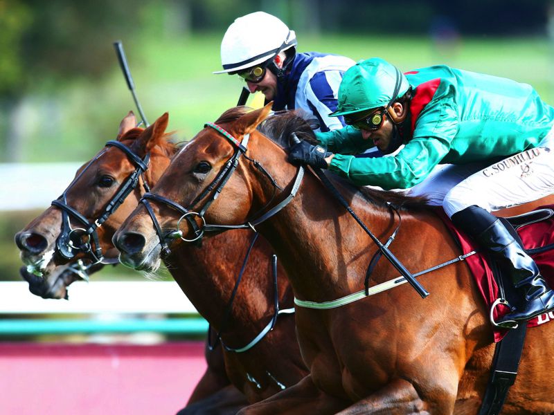 Tarnawa (near side) touches off  Alpine Star in the Prix de l'Opera