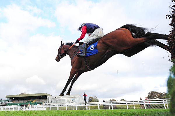 Different Spot and Darragh O'Keeffe jump the last 
