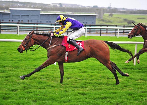           Teuchters Glory and Tom Feeney