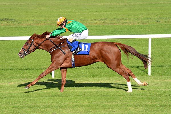 Sacred Rhyme is now Jessica Harrington's sole runner in the Blue Wind Stakes at Naas