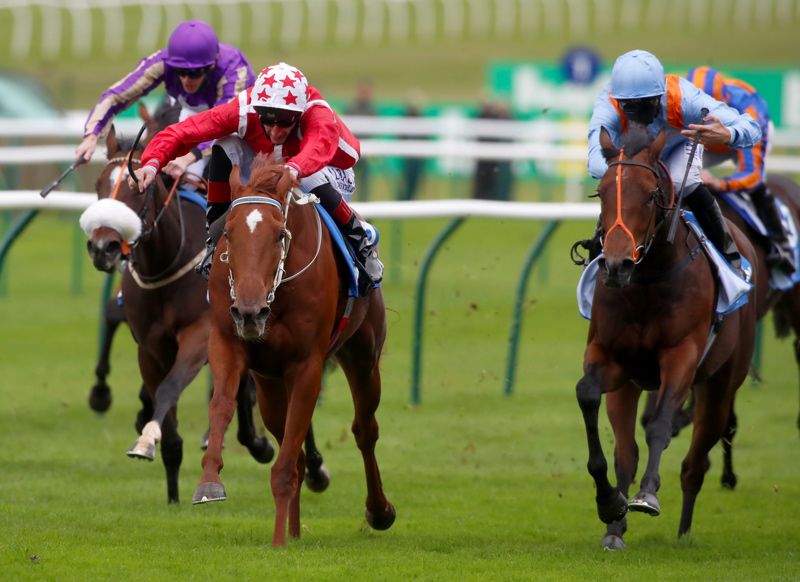 Saffron Beach (red) winning the Oh So Sharp Stakes at Newmarket in October