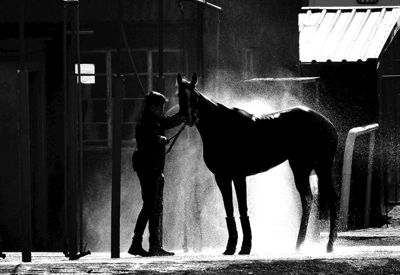 Betfair Desktop View Betfair Desktop View