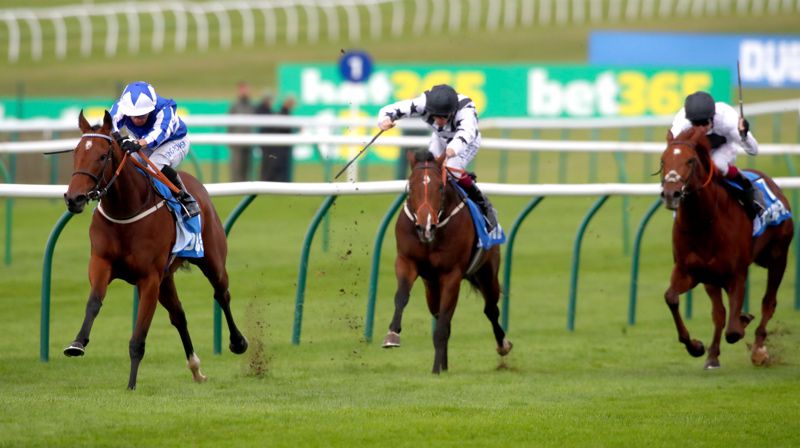 Winter Power (left) winning at Newmarket last year