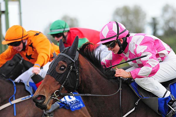 Max's Dandy (nearest) with Siobhan Rutledge