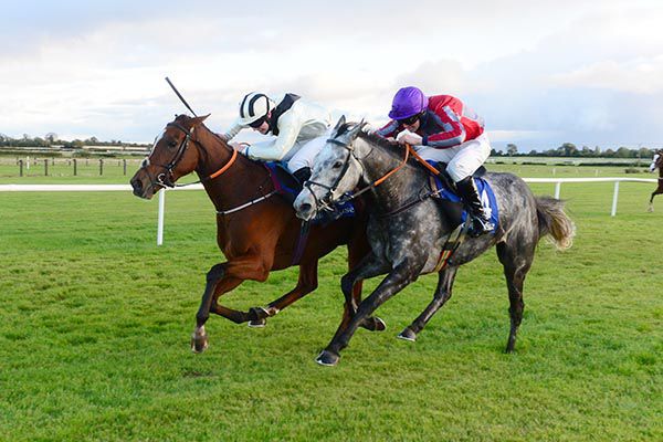 Mind Your Money (left, Harry Swan) and It Could Be You (Charlie Mullins, nearside)