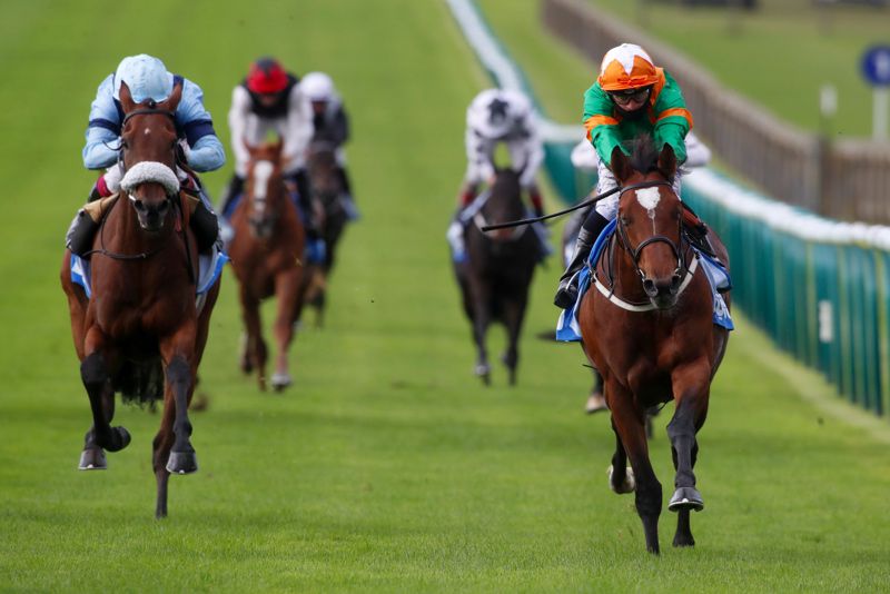 Lone Eagle (right) winning at Newmarket last year