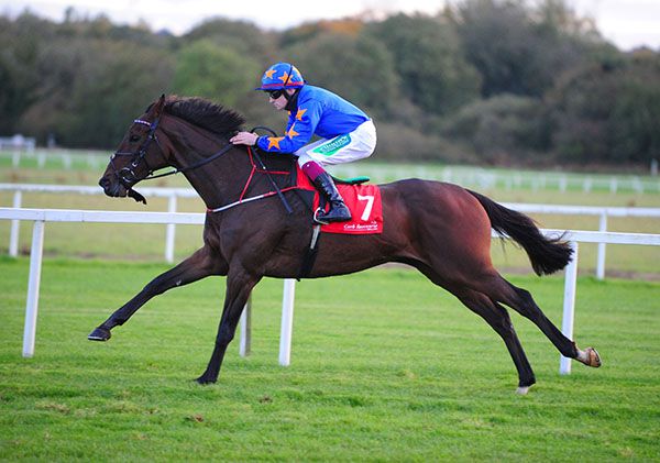 Dreal Deal, seen here with Mark Enright up at Cork