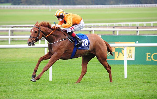 Thefaithfulindian and Colin Keane