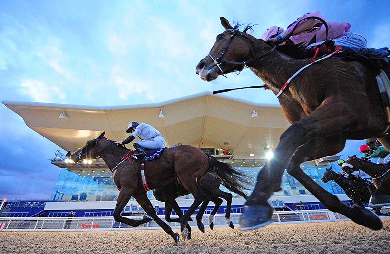White and black silks Billy Lee wins on Jackmel
