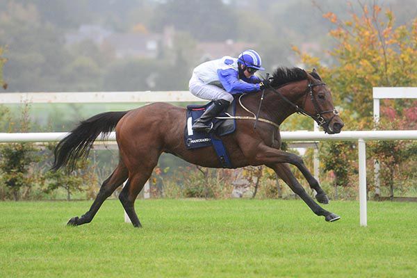 Camorra stretches clear for Sam Ewing