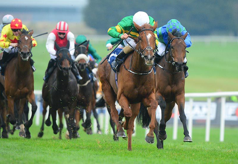 Barrington Court returns to Naas this afternoon