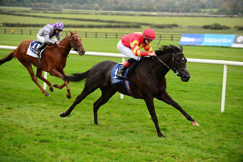 Dance Jupiter and Dylan Browne McMonagle (right) win from Mccabe 