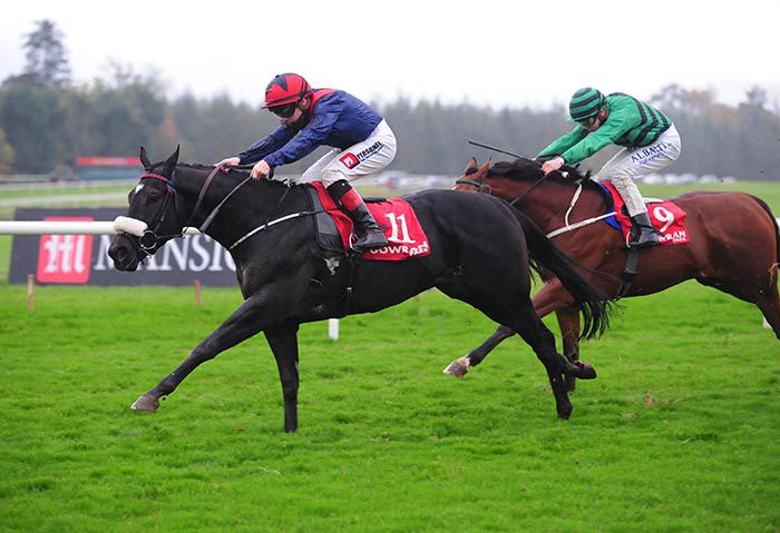 Flight Command leads home Slieve Bearnagh