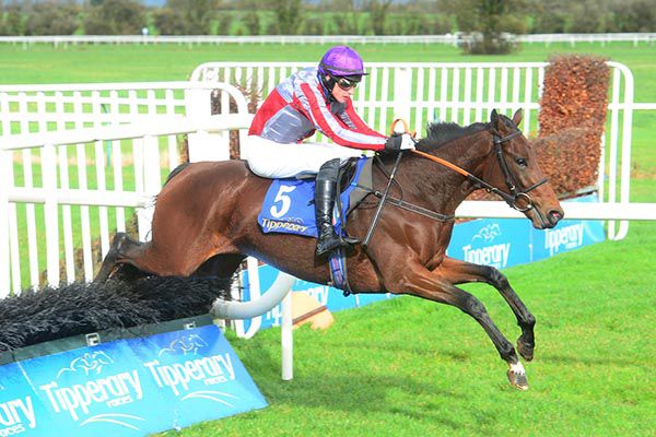 jack and Rock Chica jump the last hurdle at Tipperary