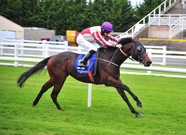 Toughari wins in authoritative fashion