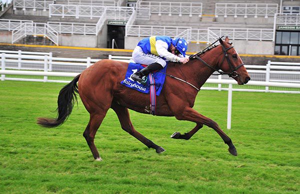 Final Endeavour sees it out well