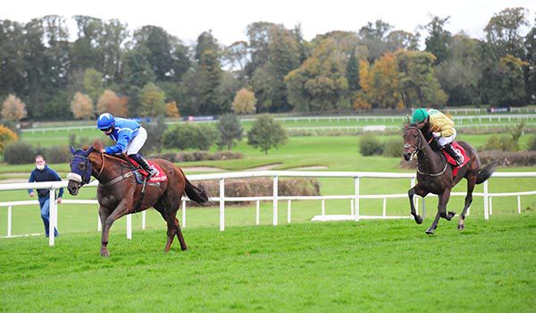 All The Mollies and Siobhan Rutledge (blue) win from Stellify