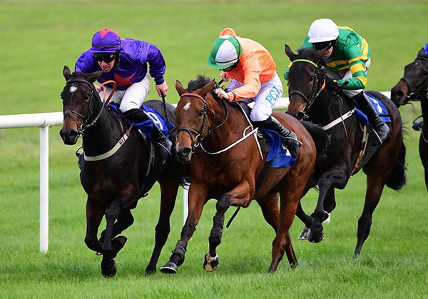 Orange silks quartered cap Rachael Blackmore comes through to win on Molly Kaye