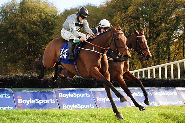 She's All Vintage and Ryan Treacy (nearest) jump the last with Call The Fairies