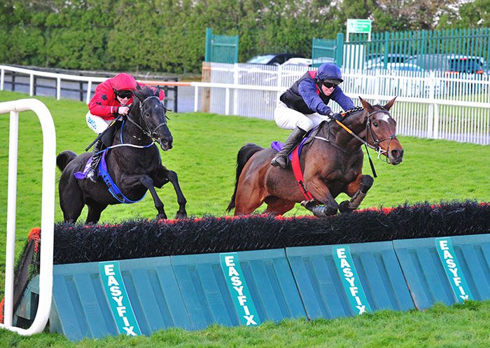 Agent Boru and Darragh O Keeffe (right) with Bothar Dubh in second