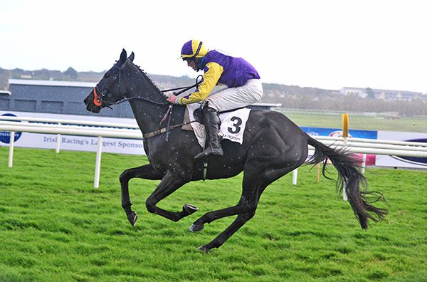 Gordon Dai Dai winning on debut at 20/1