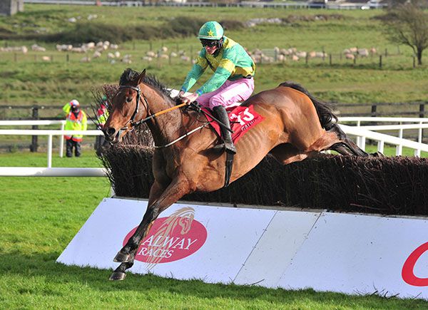 Rock On Barney (Jack Gilligan, pink breeches for Breast Cancer Awareness month)
