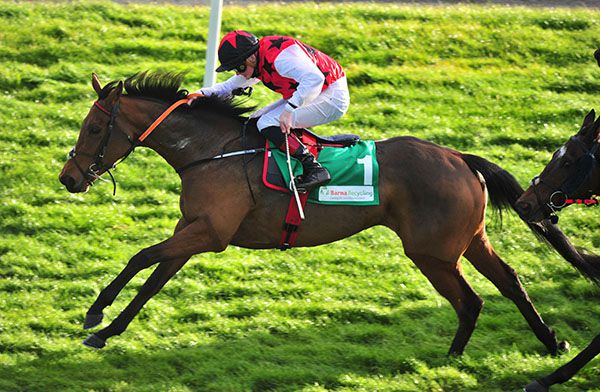 Excuzio Joe and Sam Ewing