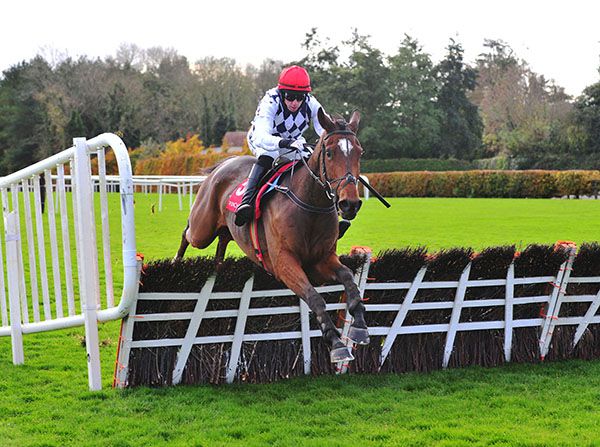 Crosshill starts off over fences in the opener at Thurles
