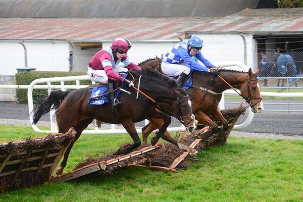 Live Every Day and Simon Cavanagh (near side) flatten the last but win from Resurrected Duke (far side)