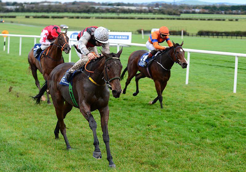 Persian Queen and Colin Keane lead home eventual third Menagerie (orange)