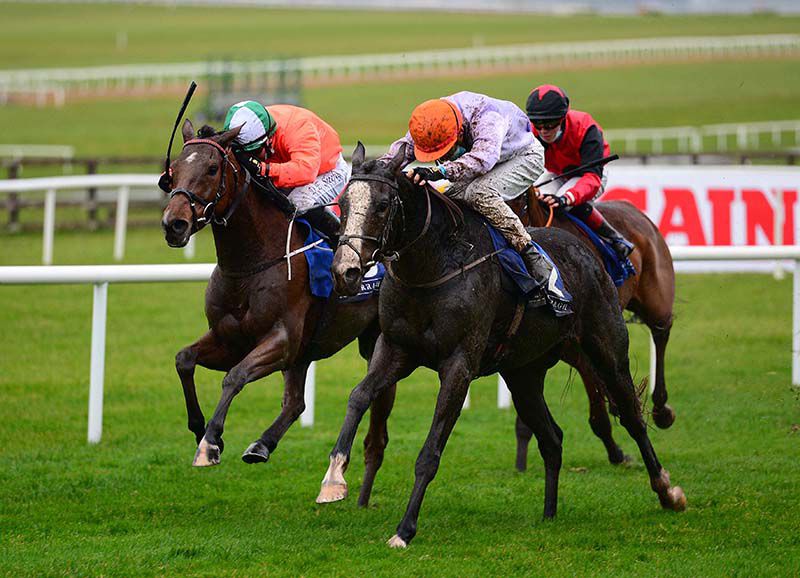 Arcland, orange cap, driven out by Nathan Crosse