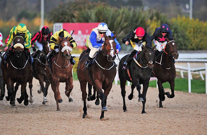 Blue and white silks Oisin Orr leads them home aboard Juyush