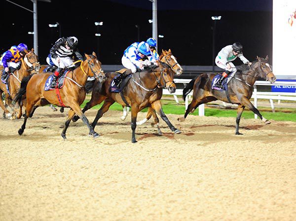 Powered home by Conor Hoban Romann (far-side) prevailed by a nose in the penultimate event at Dundalk