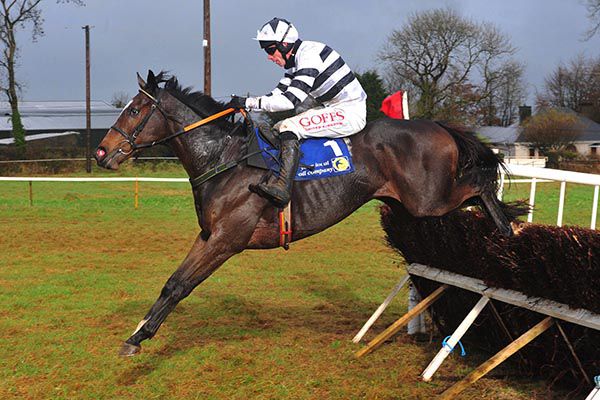 Jonbon winning at Dromahane