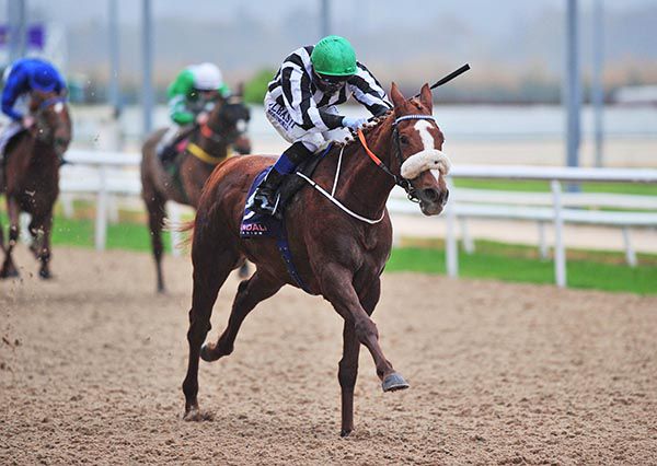 Astadash and Chris Hayes