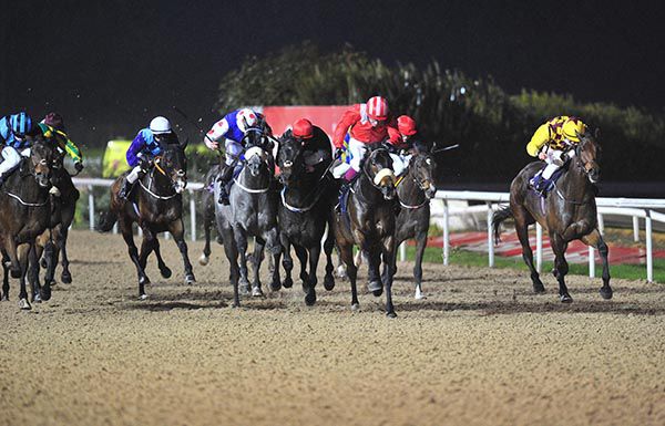 Yellow and check colours down the inner, Tom 'Socks' Madden wins on Everyhouronthehour