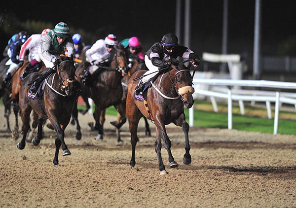 Going Global (noseband) wins under Conor McGovern