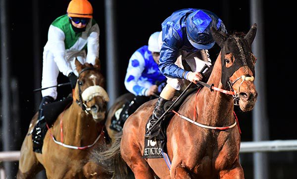 Blackstone Cliff wins under Shane Foley