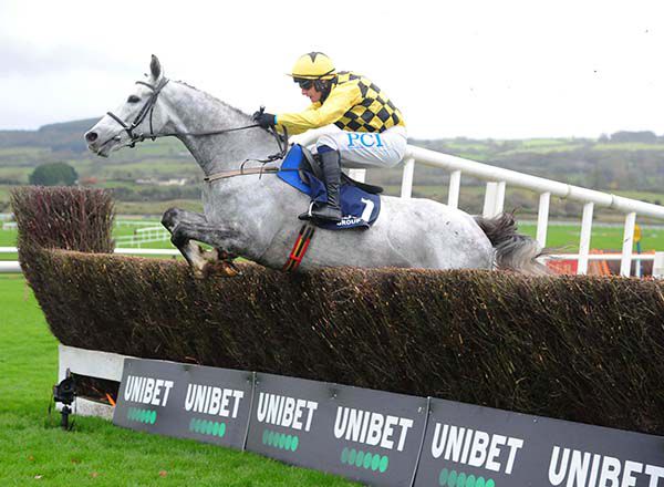 Asterion Forlonge lands the odds in Punchestown