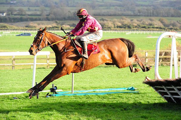 Holymacapony pictured on his way to victory at Punchestown last month