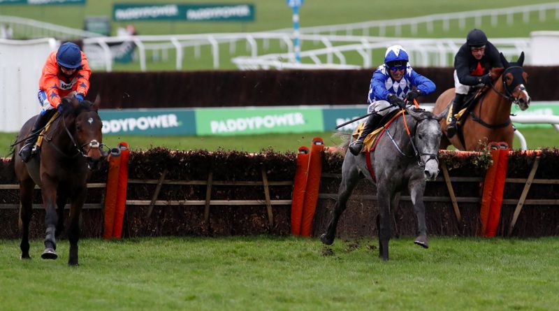 Grey horse Duffle Coat mounts his challenge