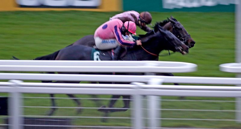 Ishkhara Lady, near side, and Elle Est Belle