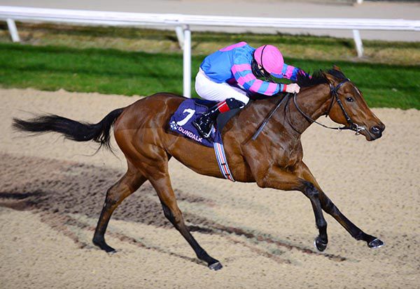 Messidor and Declan McDonogh