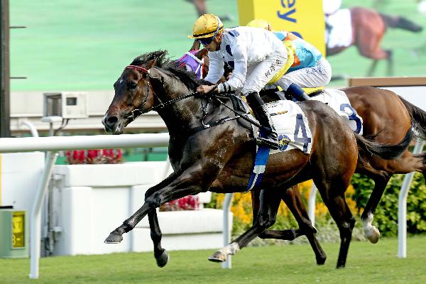 Golden Sixty is a 12-time winner from 13 starts.