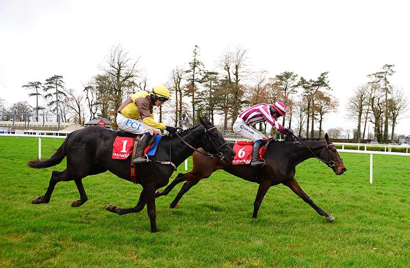 Sea Ducor gets the better of Galopin Des Champs