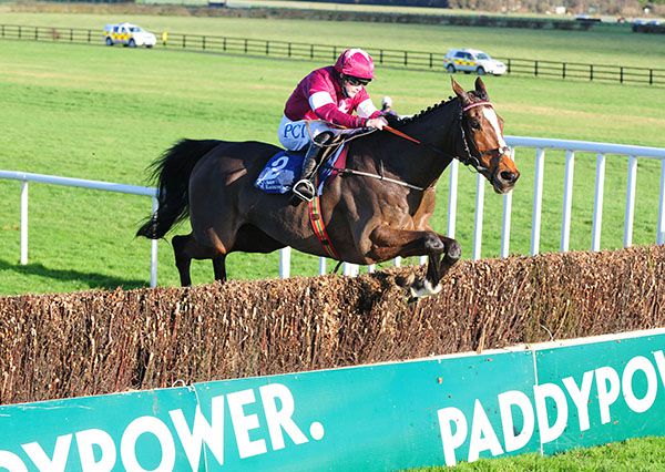 Rachael and Notebook jumping the last fence at Naas