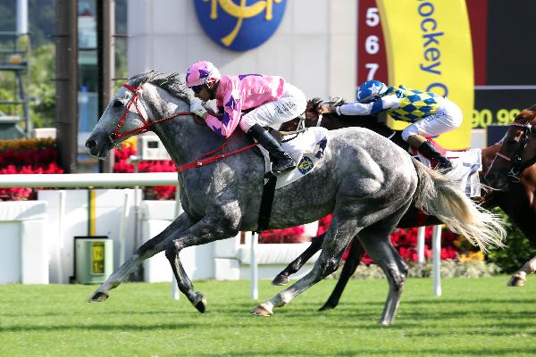 Hot King Prawn wins the Jockey Club Sprint for the second time.