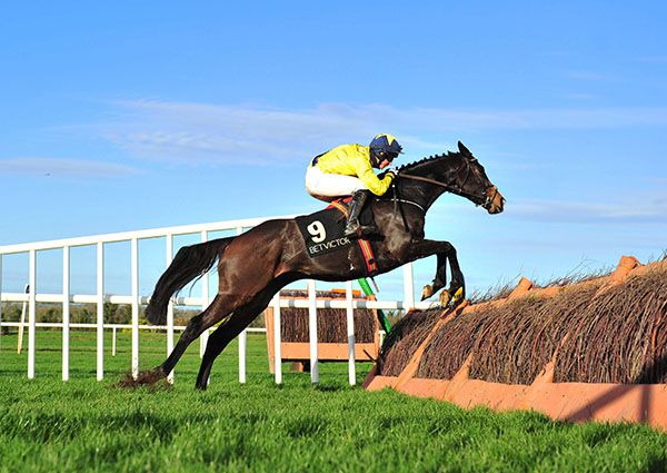 King Alex pictured on his way to victory at Navan last month 