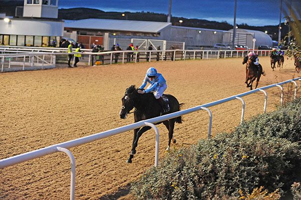 Bluebeard's Castle is well clear of his rivals under Hugh Horgan